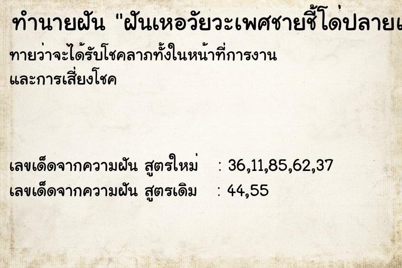 ทำนายฝันทำนายฝันฝันเหอวัยวะเพศชายชี้โด่ปลายแหลม
