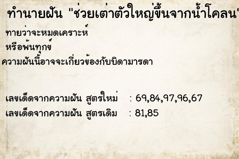 ทำนายฝันทำนายฝันช่วยเต่าตัวใหญ่ขึ้นจากน้ำโคลน
