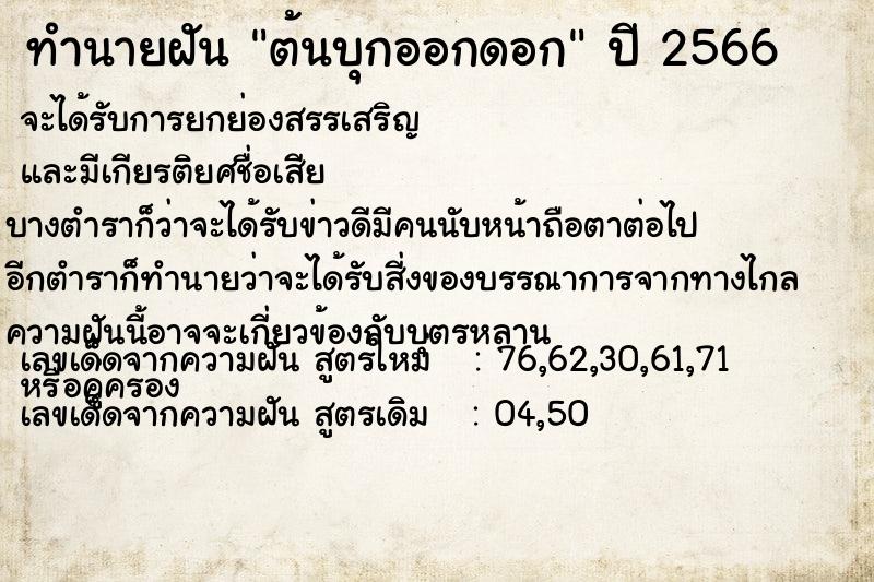 ทำนายฝัน ต้นบุกออกดอก ตำราโบราณ แม่นที่สุดในโลก