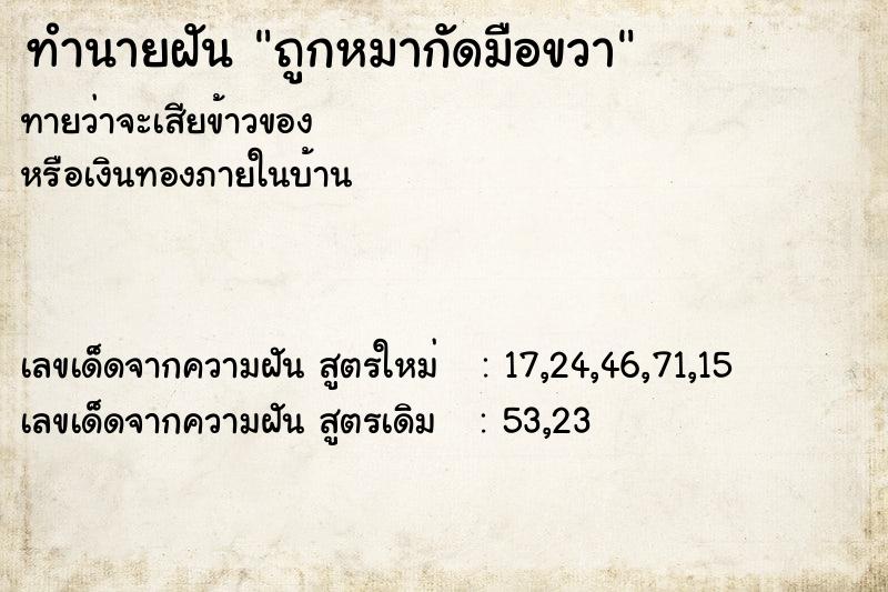 ทำนายฝัน ถูกหมากัดมือขวา ตำราโบราณ แม่นที่สุดในโลก