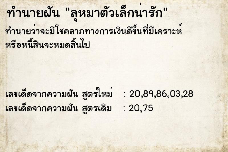 ทำนายฝันลุหมาตัวเล็กน่ารัก ทำนายฝันทำนายฝันลุหมาตัวเล็กน่ารัก