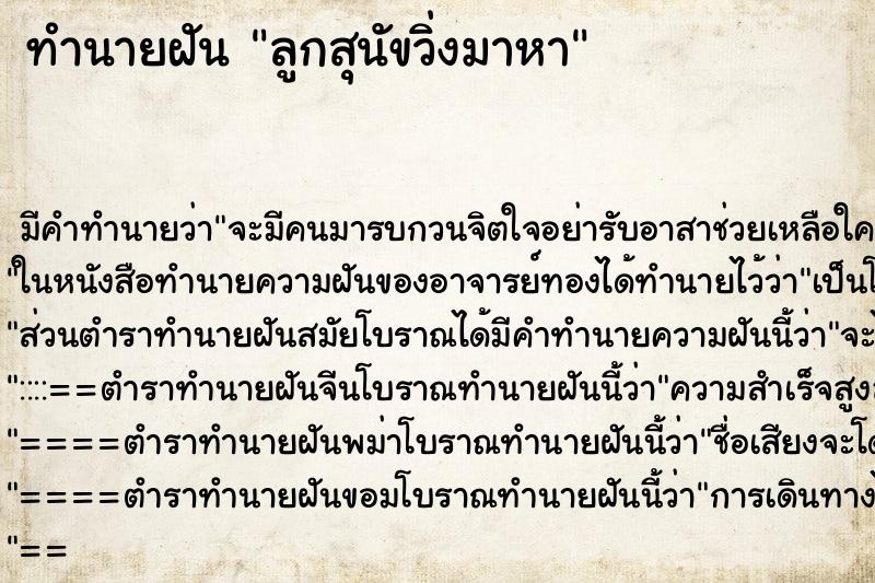 ทำนายฝันลูกสุนัขวิ่งมาหา ทำนายฝันทำนายฝันลูกสุนัขวิ่งมาหา