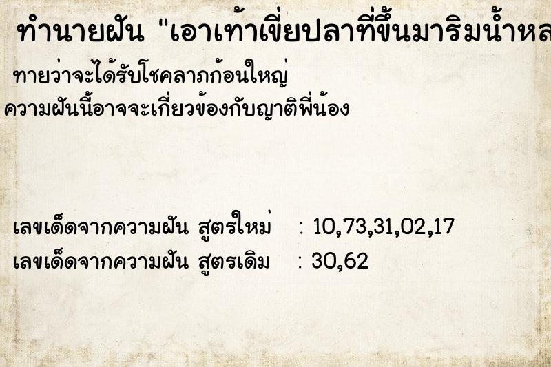 ทำนายฝันเอาเท้าเขี่ยปลาที่ขึ้นมาริมน้ำหลายตัวเลย ทำนายฝันทำนายฝันเอาเท้าเขี่ยปลาที่ขึ้นมาริมน้ำหลายตัวเลย