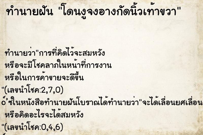 ทำนายฝัน โดนงูจงอางกัดนิ้วเท้าขวา ทำนายฝัน โดนงูจงอางกัดนิ้วเท้าขวา