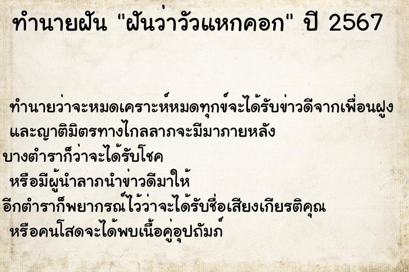 ทำนายฝัน ฝันว่าวัวแหกคอก ตำราโบราณ แม่นที่สุดในโลก