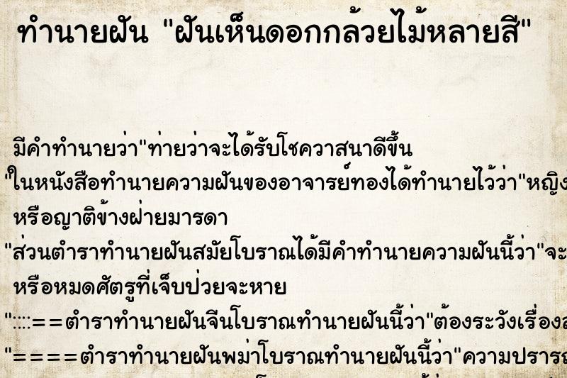 ทำนายฝัน ฝันเห็นดอกกล้วยไม้หลายสี ทำนายฝัน ฝันเห็นดอกกล้วยไม้หลายสี