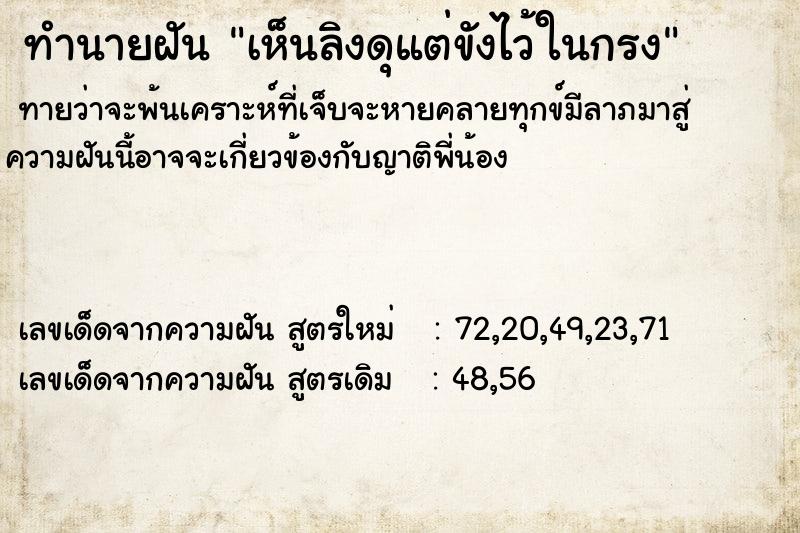 ทำนายฝันเห็นลิงดุแต่ขังไว้ในกรง ทำนายฝันทำนายฝันเห็นลิงดุแต่ขังไว้ในกรง