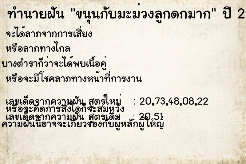 ทำนายฝันขนุนกับมะม่วงลูกดกมาก ทำนายฝันทำนายฝันขนุนกับมะม่วงลูกดกมาก