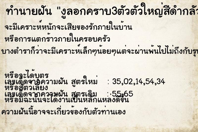 ทำนายฝันทำนายฝันงูลอกคราบ3ตัวตัวใหญ่สีดำกลัวมาก