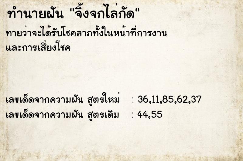 ทำนายฝันจิ้งจกไล่กัด ทำนายฝันทำนายฝันจิ้งจกไล่กัด