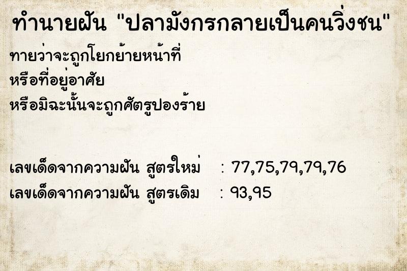 ทำนายฝันทำนายฝันปลามังกรกลายเป็นคนวิ่งชน