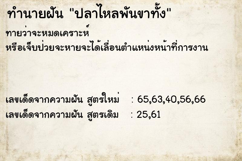 ทำนายฝัน ปลาไหลพันขาทั้ง ทำนายฝัน ปลาไหลพันขาทั้ง