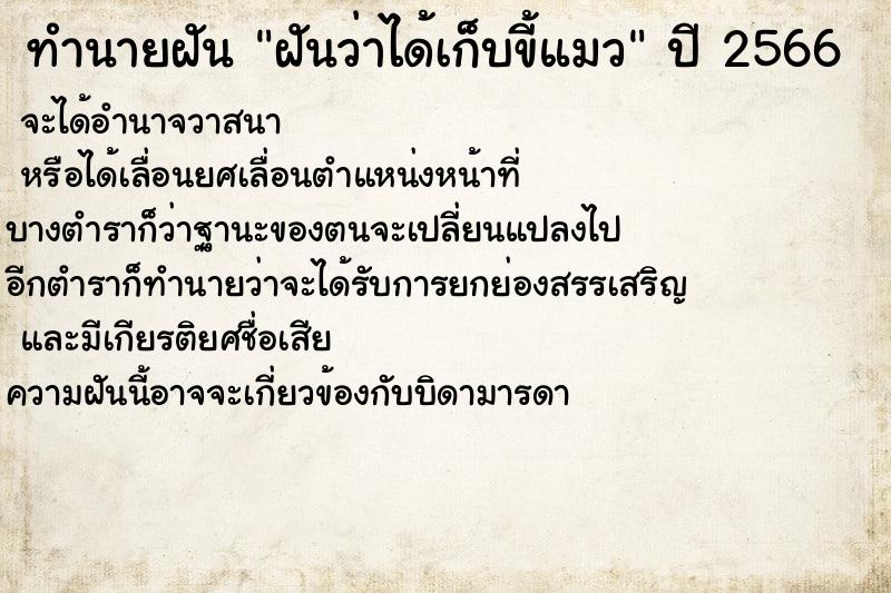 ทำนายฝันทำนายฝันฝันว่าได้เก็บขี้แมว