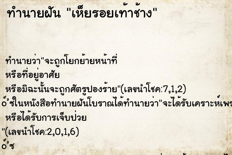 ทำนายฝัน เห็ยรอยเท้าช้าง