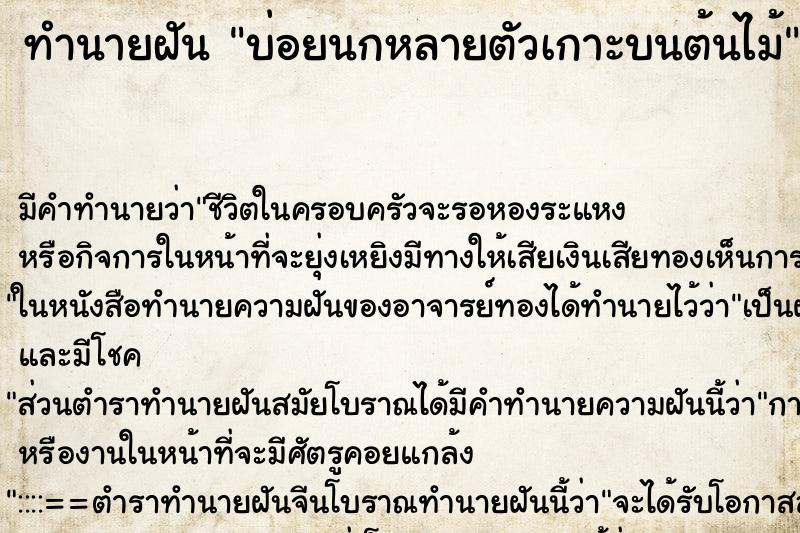 ทำนายฝันบ่อยนกหลายตัวเกาะบนต้นไม้ ทำนายฝันทำนายฝันบ่อยนกหลายตัวเกาะบนต้นไม้