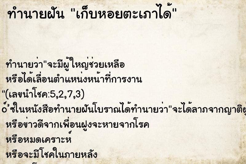 ทำนายฝันทำนายฝันเก็บหอยตะเภาได้