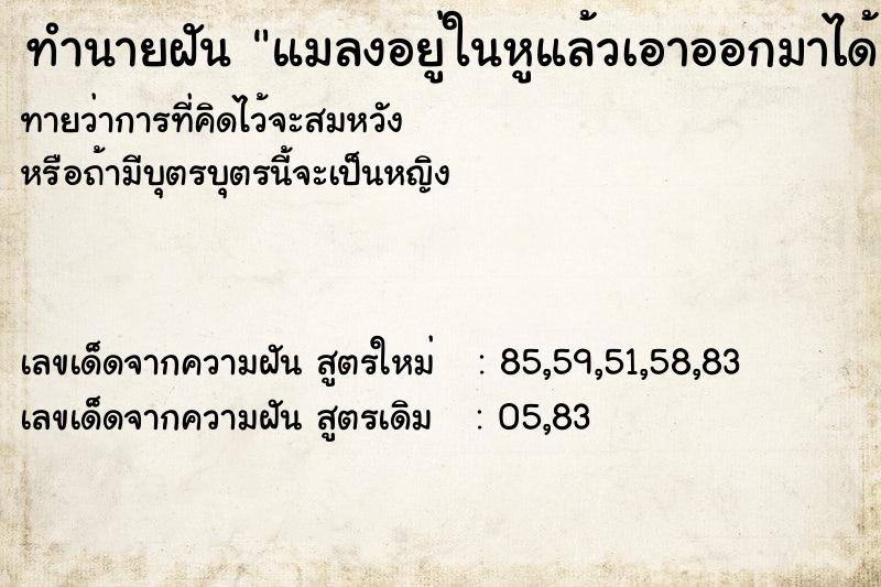 ทำนายฝันทำนายฝันแมลงอยู่ในหูแล้วเอาออกมาได้