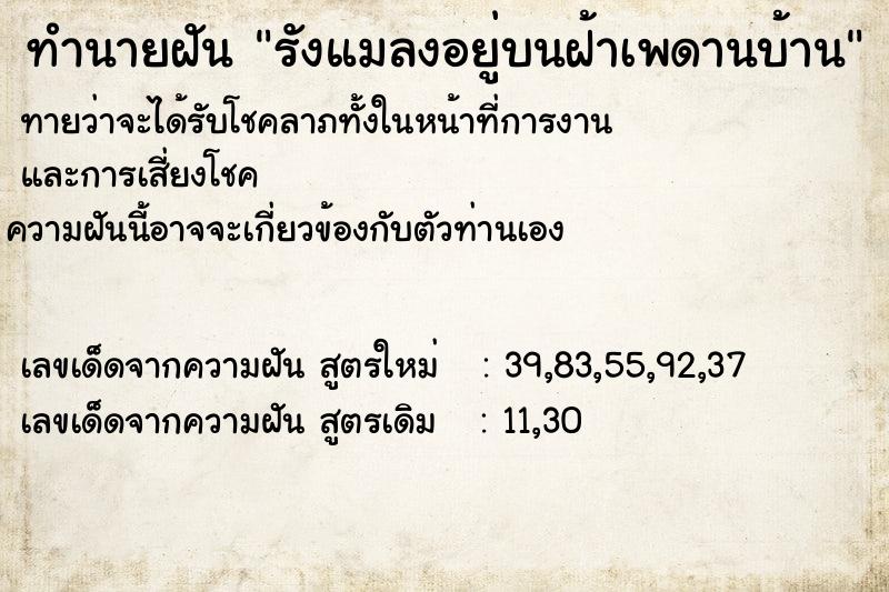 ทำนายฝันทำนายฝันรังแมลงอยู่บนฝ้าเพดานบ้าน