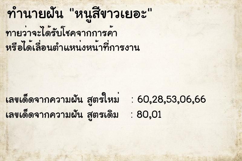 ทำนายฝัน หนูสีขาวเยอะ