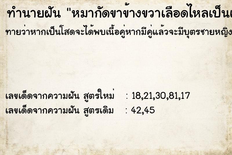 ทำนายฝันหมากัดขาข้างขวาเลือดไหลเป็นแผลวัน ทำนายฝันทำนายฝันหมากัดขาข้างขวาเลือดไหลเป็นแผลวัน