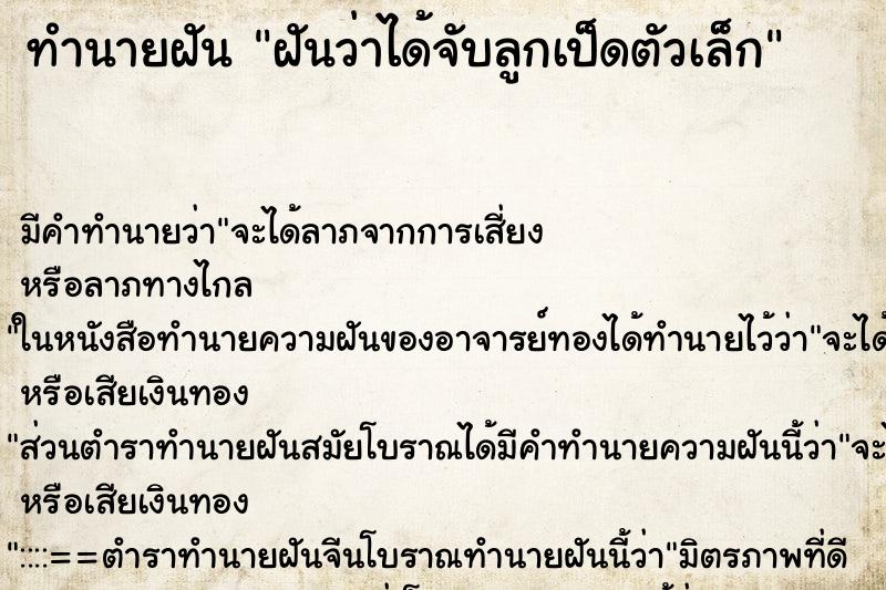 ทำนายฝัน ฝันว่าได้จับลูกเป็ดตัวเล็ก ทำนายฝัน ฝันว่าได้จับลูกเป็ดตัวเล็ก