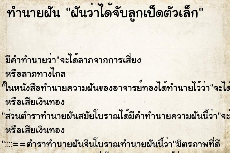 ทำนายฝัน ฝันว่าได้จับลูกเป็ดตัวเล็ก ตำราโบราณ แม่นที่สุดในโลก