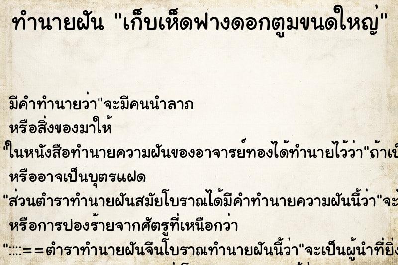 ทำนายฝัน เก็บเห็ดฟางดอกตูมขนดใหญ่ ตำราโบราณ แม่นที่สุดในโลก