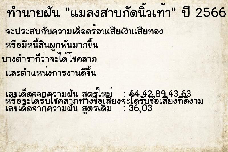 ทำนายฝัน แมลงสาบกัดนิ้วเท้า ทำนายฝัน แมลงสาบกัดนิ้วเท้า