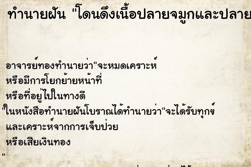 ทำนายฝัน โดนดึงเนื้อปลายจมูกและปลายลิ้นขาด ทำนายฝัน โดนดึงเนื้อปลายจมูกและปลายลิ้นขาด