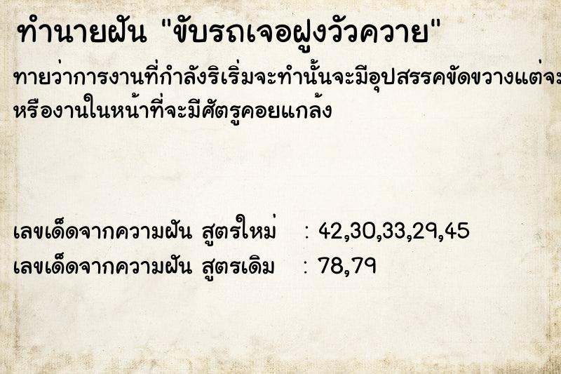 ทำนายฝันทำนายฝันขับรถ​เจอฝูงวัวควาย