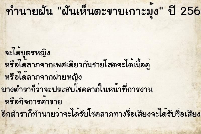 ทำนายฝันทำนายฝันฝันเห็นตะขาบเกาะมุ้ง