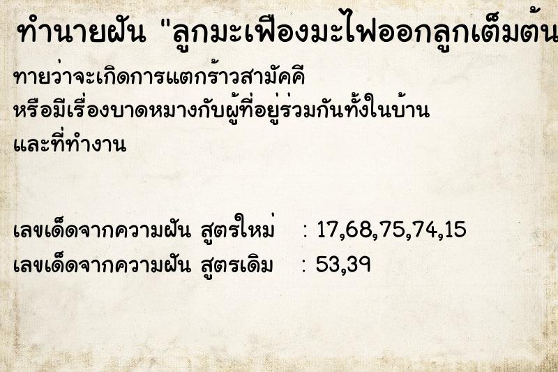 ทำนายฝัน ลูกมะเฟืองมะไฟออกลูกเต็มต้น ทำนายฝัน ลูกมะเฟืองมะไฟออกลูกเต็มต้น