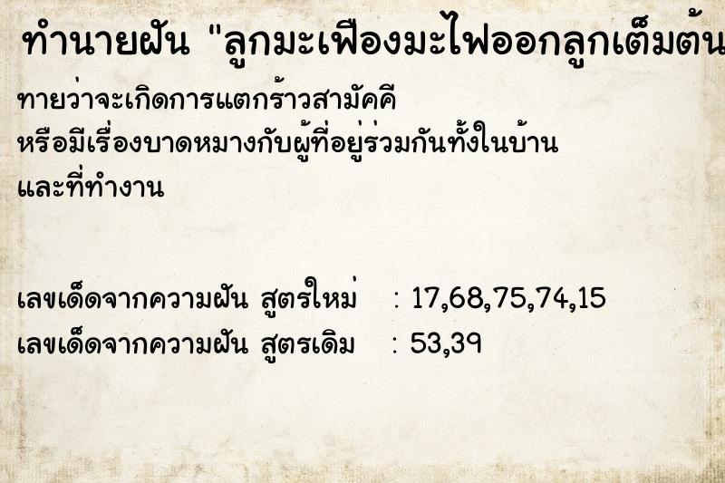 ทำนายฝัน ลูกมะเฟืองมะไฟออกลูกเต็มต้น ตำราโบราณ แม่นที่สุดในโลก