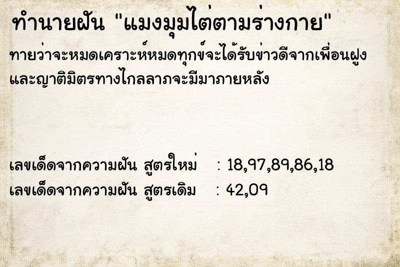 ทำนายฝัน แมงมุมไต่ตามร่างกาย ทำนายฝัน แมงมุมไต่ตามร่างกาย