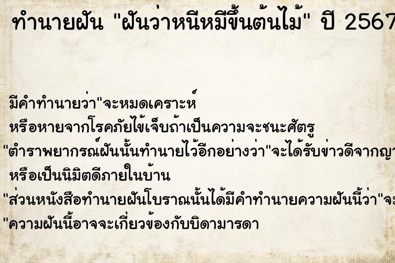 ทำนายฝันฝันว่าหนีหมีขึ้นต้นไม้ ทำนายฝันทำนายฝันฝันว่าหนีหมีขึ้นต้นไม้