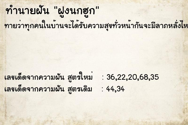 ทำนายฝันฝูงนกฮูก ทำนายฝันทำนายฝันฝูงนกฮูก