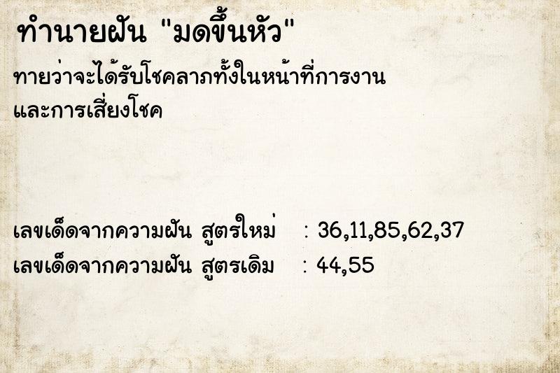 ทำนายฝันทำนายฝันมดขึ้นหัว