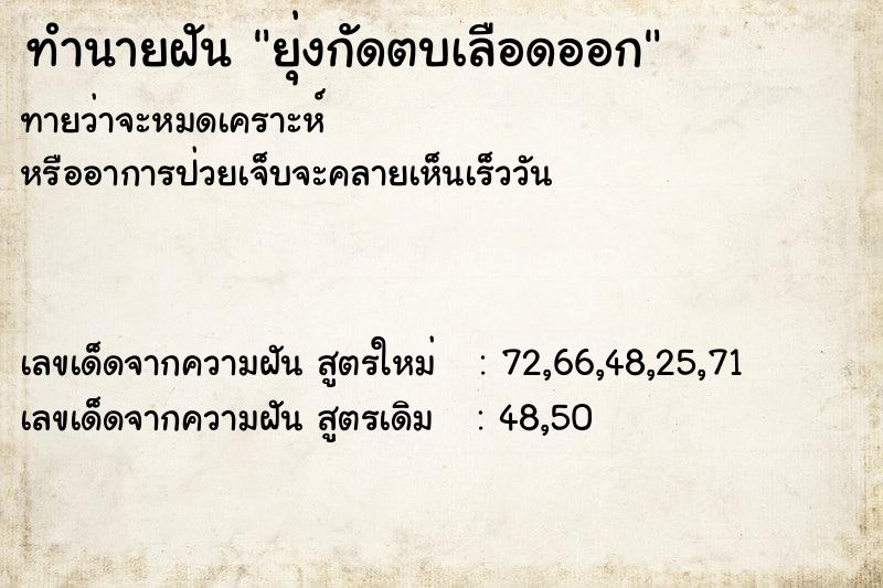 ทำนายฝันยุ่งกัดตบเลือดออก ทำนายฝันทำนายฝันยุ่งกัดตบเลือดออก