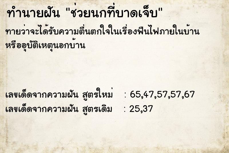 ทำนายฝันช่วยนกที่บาดเจ็บ ทำนายฝันทำนายฝันช่วยนกที่บาดเจ็บ