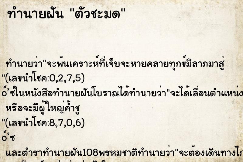 ทำนายฝัน ตัวชะมด ทำนายฝัน ตัวชะมด