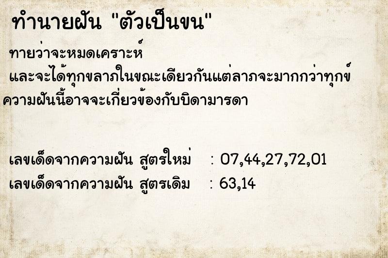 ทำนายฝันตัวเป็นขน ทำนายฝันทำนายฝันตัวเป็นขน