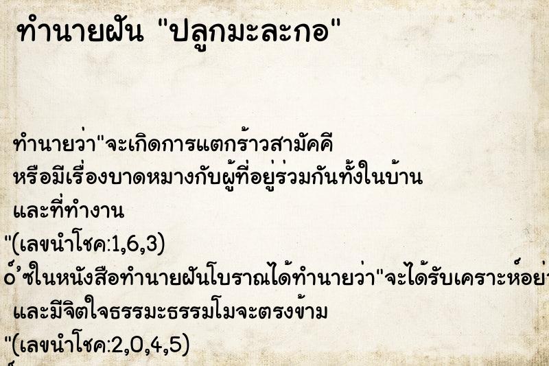 ทำนายฝันปลูกมะละกอ ทำนายฝันทำนายฝันปลูกมะละกอ