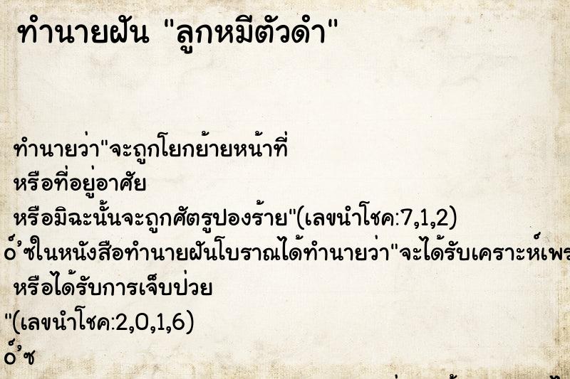 ทำนายฝัน ลูกหมีตัวดำ