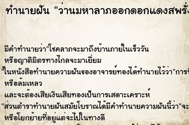 ทำนายฝัน ว่านมหาลาภออกดอกแดงสพรั่ง