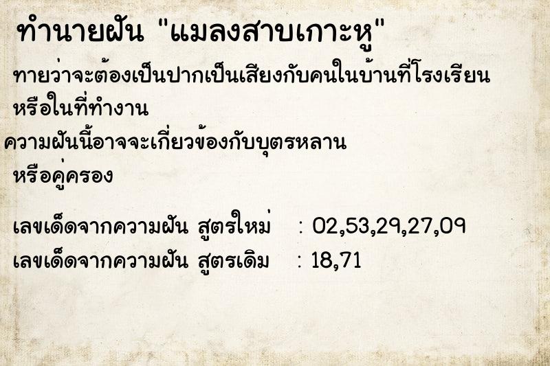 ทำนายฝันทำนายฝันแมลงสาบเกาะหู