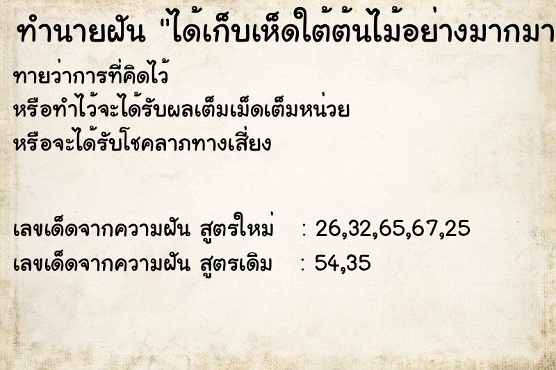 ทำนายฝันทำนายฝันได้เก็บเห็ดใต้ต้นไม้อย่างมากมาย