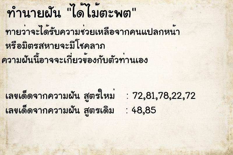 ทำนายฝันทำนายฝันได้ไม้ตะพต