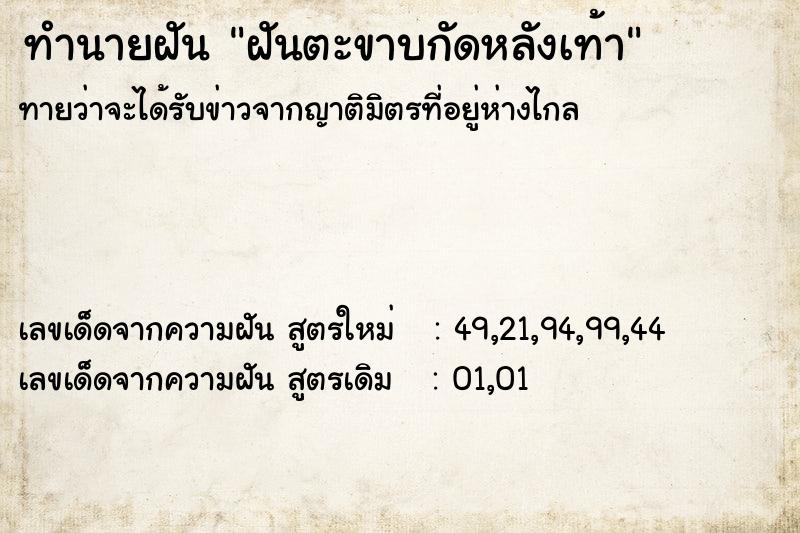 ทำนายฝันฝันตะขาบกัดหลังเท้า ทำนายฝันทำนายฝันฝันตะขาบกัดหลังเท้า