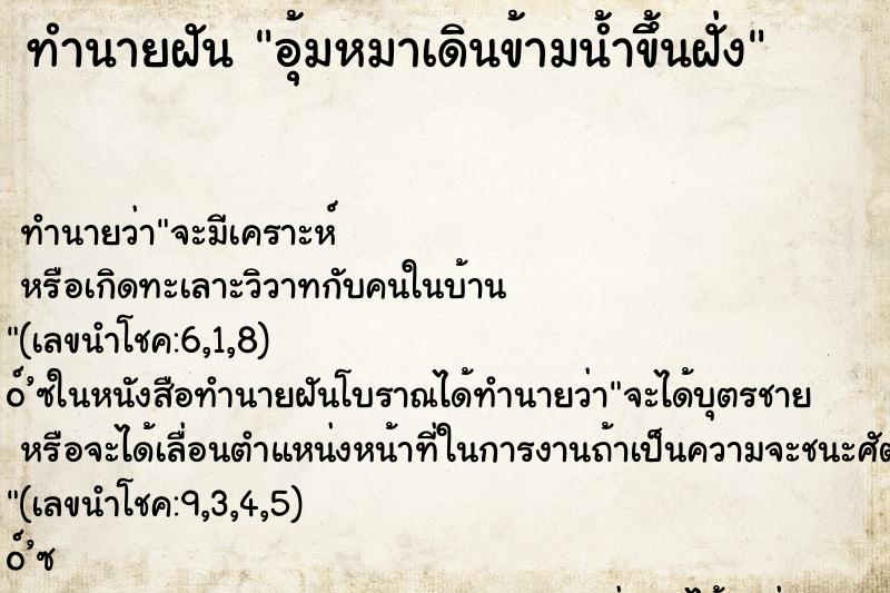 ทำนายฝันทำนายฝันอุ้มหมาเดินข้ามน้ำขึ้นฝั่ง
