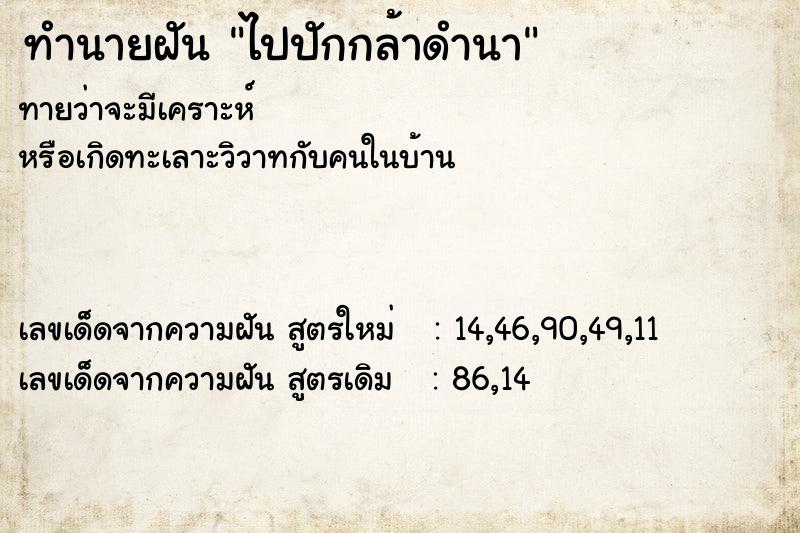 ทำนายฝันทำนายฝันไปปักกล้าดำนา